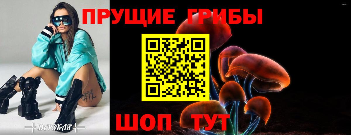 Галлюциногенные грибы прущие грибы  Вход с VPN  Усть-Илимск 
